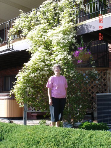 When we got home our Clematis vine was in full bloom.  Ten days later there was snow on the ground here.