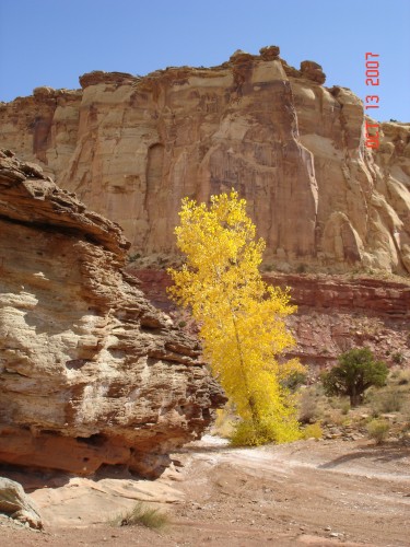 The Wild Horse Canyon walls were steep but the walk was easy, and warm.