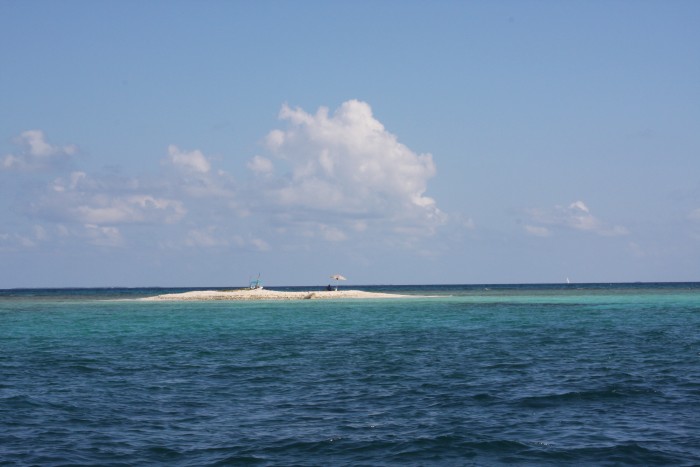 The snorkeling was really good around this island