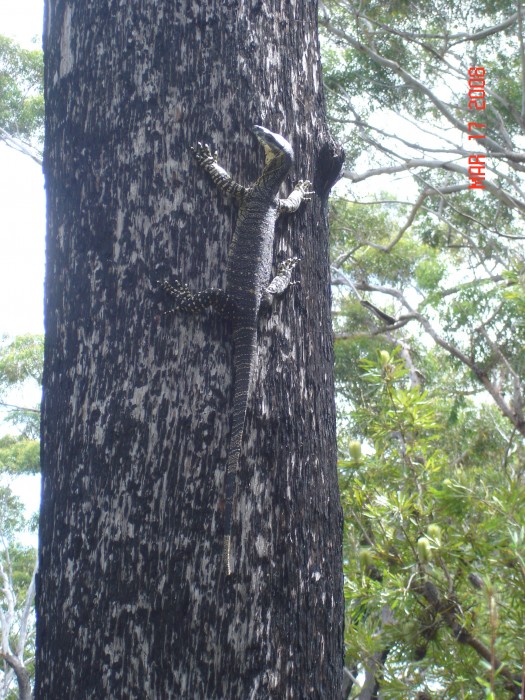 We're goanna have a good time!