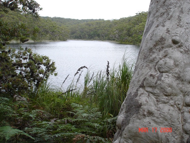 This is blue lake at Stradbroke Island where we went for a walk one day, Dad has already put up a couple of pictures from here on the Travel section.