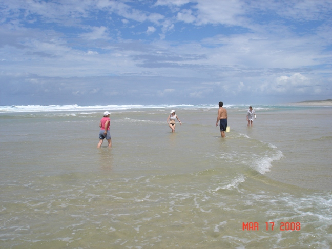 At low tide you just wiggle your feet and then if you feel them just grab 'em!  They have to sit in a bucket of seawater for a day at least to let them get rid of sand in the shell.