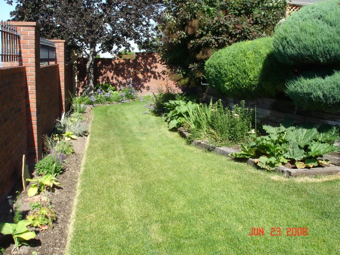 This is looking west at the rhubarb and the new garden along the wall.