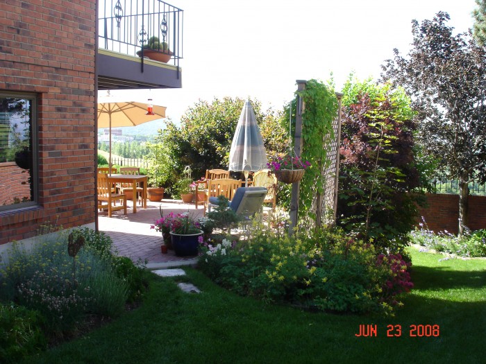 Columbine, red vallerian, and the &quot;nursery&quot; where we have pots of dug up maple trees and smoke bushes.