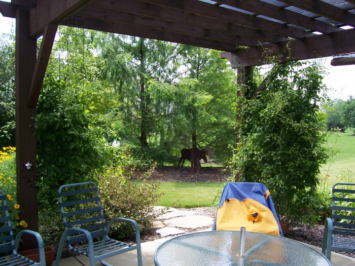 Carmel 2008 Pergola view.jpg