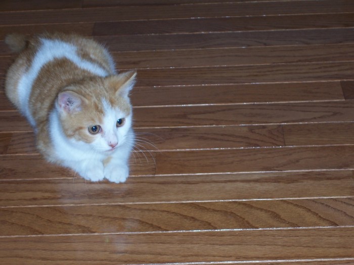 Colby 001.jpg