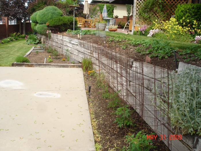 We have 10 tomatoes, beets, carrots, radishes, and scallions in the lower level garden.