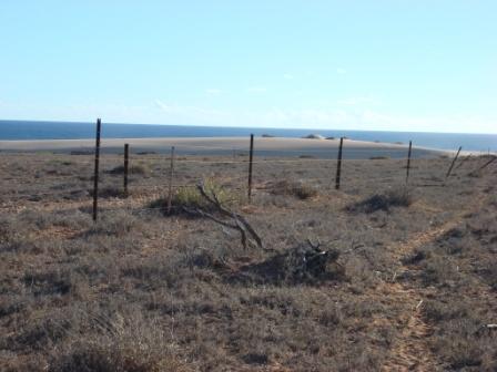 We went up the road to Gnaraloo station one day to check out some stuff and talk to the station people about some of our results.  Its real desert country.