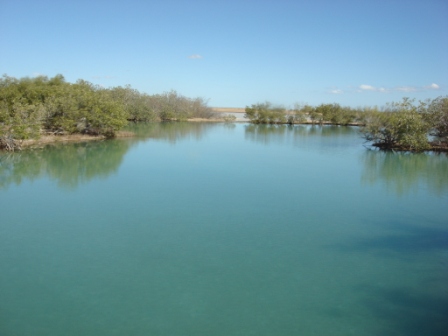 The reason we wanted to get to the lake is that  there are &quot;blue holes&quot; there that are lined by mangroves.  Must have been isolated from the sea since the last high sealevel stand that produced the coral cliffs above red bluff.  These lakes are at about sea level, I still need to find out if they are connected to the sea (rumoured) or come from terrestrial aquifers.  The water is salty but not briney