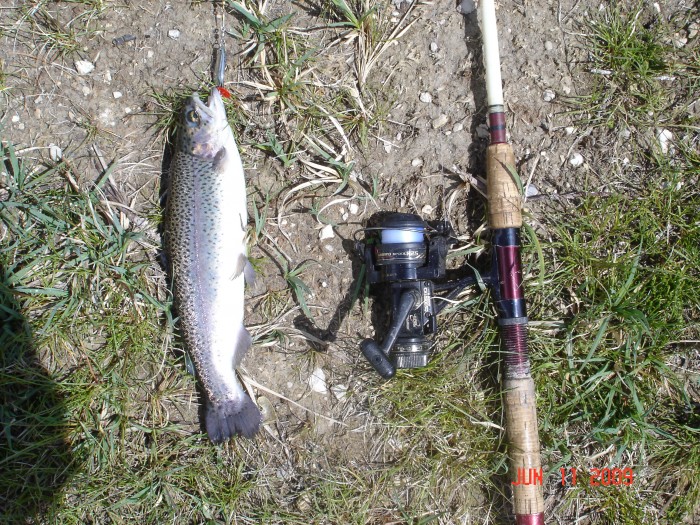 Good size - 14 inches or so.  Mom caught the big ones, as usual!