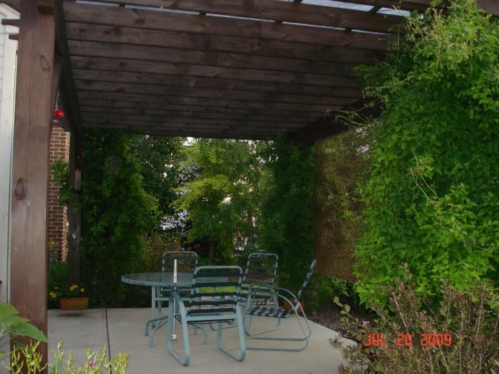 Jon's back &quot;porch&quot; with the vine covered &quot;pergola.&quot;