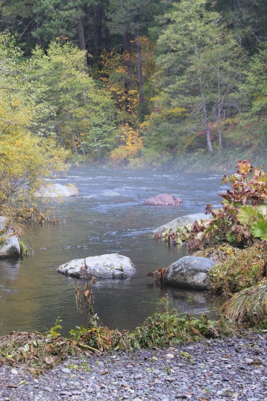 Fall on the river