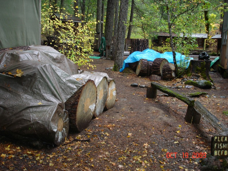 A big pine near the cabin was old and had to be taken down.  Now all Ada has to do is chop it up!