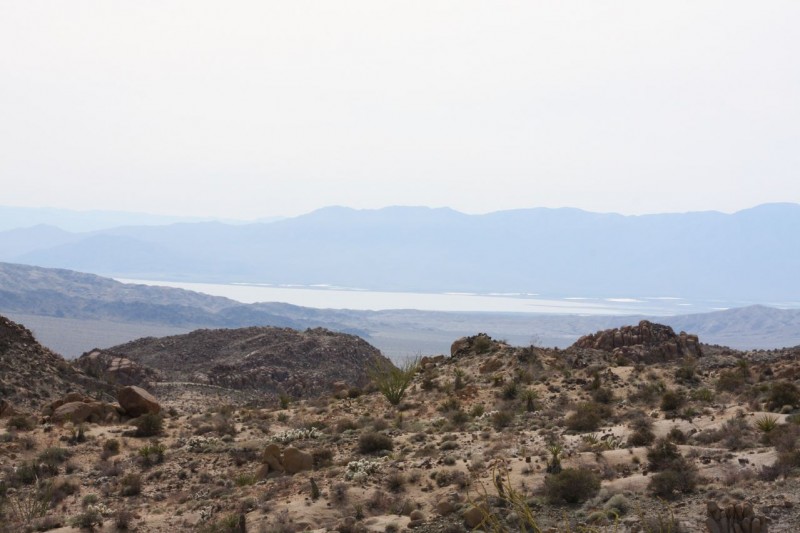 Salton Sea