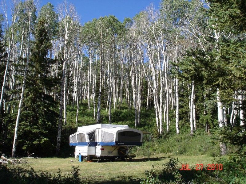 Our favorite spot, home of the white columbines!