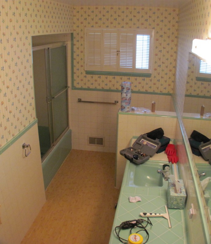 the guest bathroom