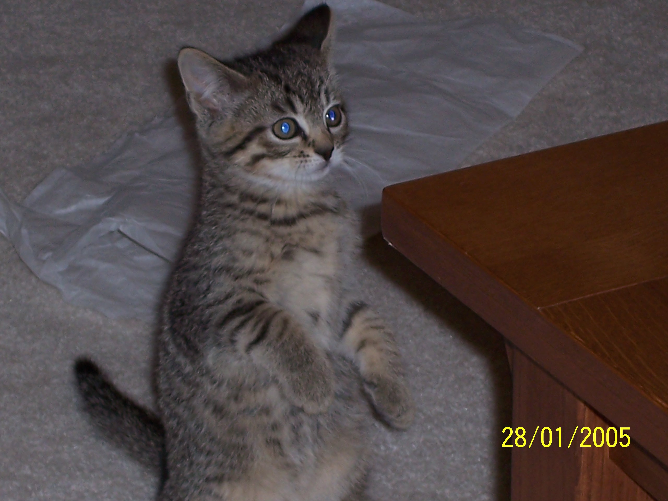 100_0075.jpg