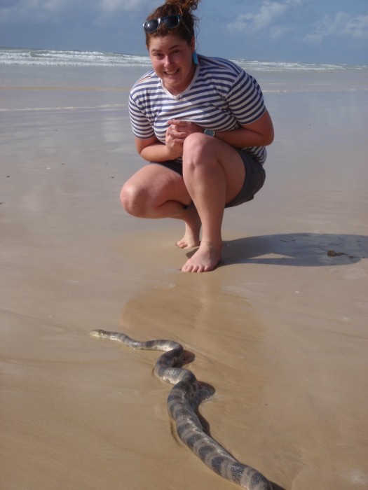 This was a pretty good size sea snake, it was pretty buggered you normally dont find them on the beach (luckily!)