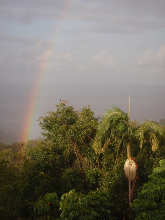 pot of gold at the bottom of the garden