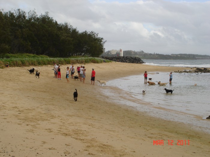 And &quot;Dog Day&quot; at the beach