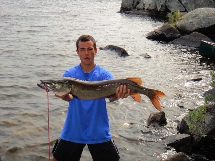 Kentucky Island Muskie