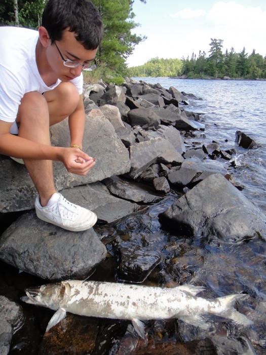 Snare fishing for crays.