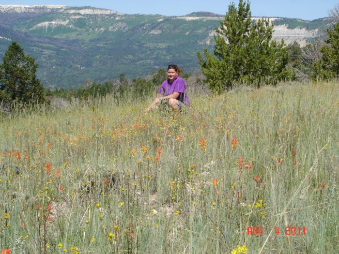 The wildflower meadow.