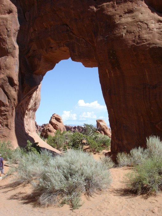 Pine Tree Arch, Arches N. P.