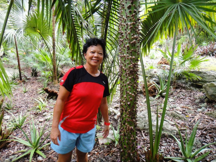 Spikey Trunk Palm