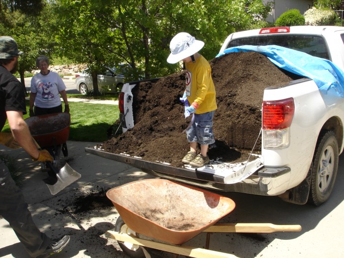 After all the gardens were edged Jason got some mulch and were spread it over the gardens.  Steven loaded the wheelbarrows.