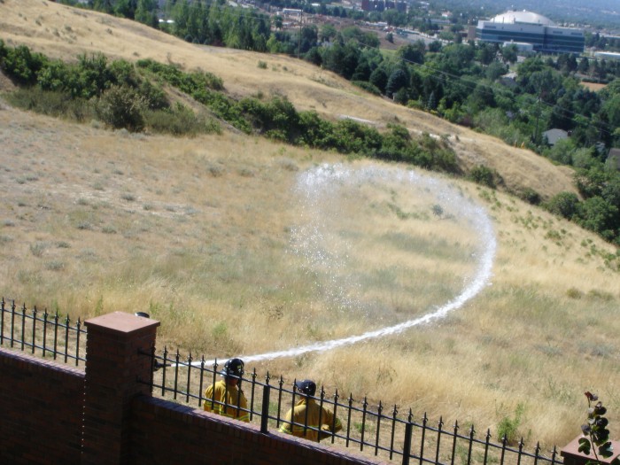 Over our back fence.