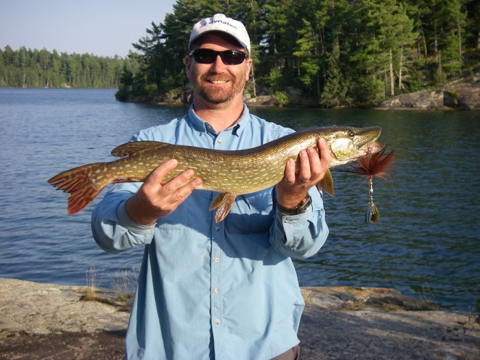 Chris spotted this fish surfacing in front of our canoe.  One cast of the Bucktail(Kaisers Mustache)and it was on.