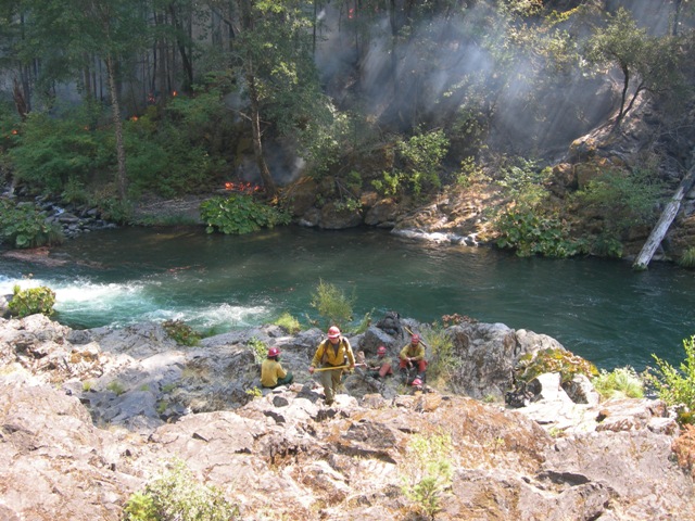 action at the snake pit