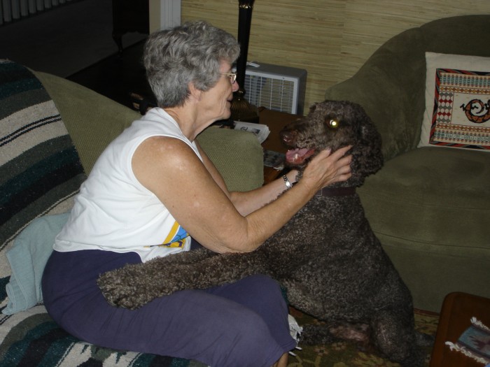 The week before Dave let us keep Jocko for several days.  He feels I will get more exercise if I have to walk him twice a day.  But he is really Gramma's dog!