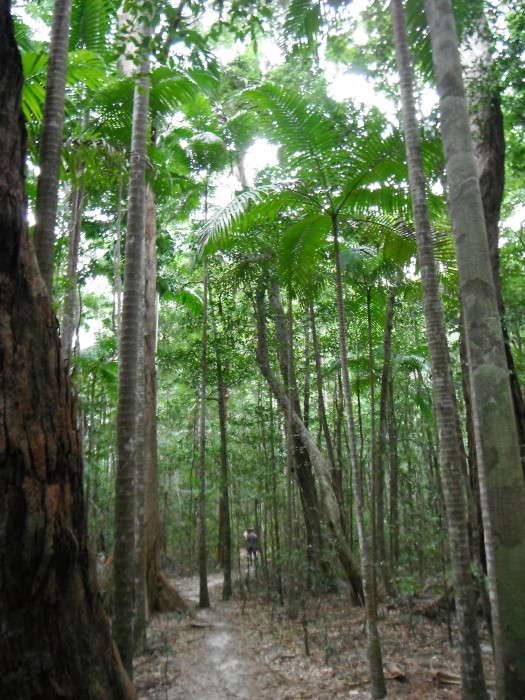 the walk to Poonah lake