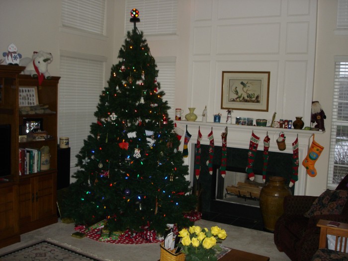 The tree, stockings, roses and the disco ball.