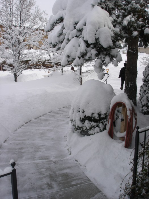 Snow in SLC the day after we got home.