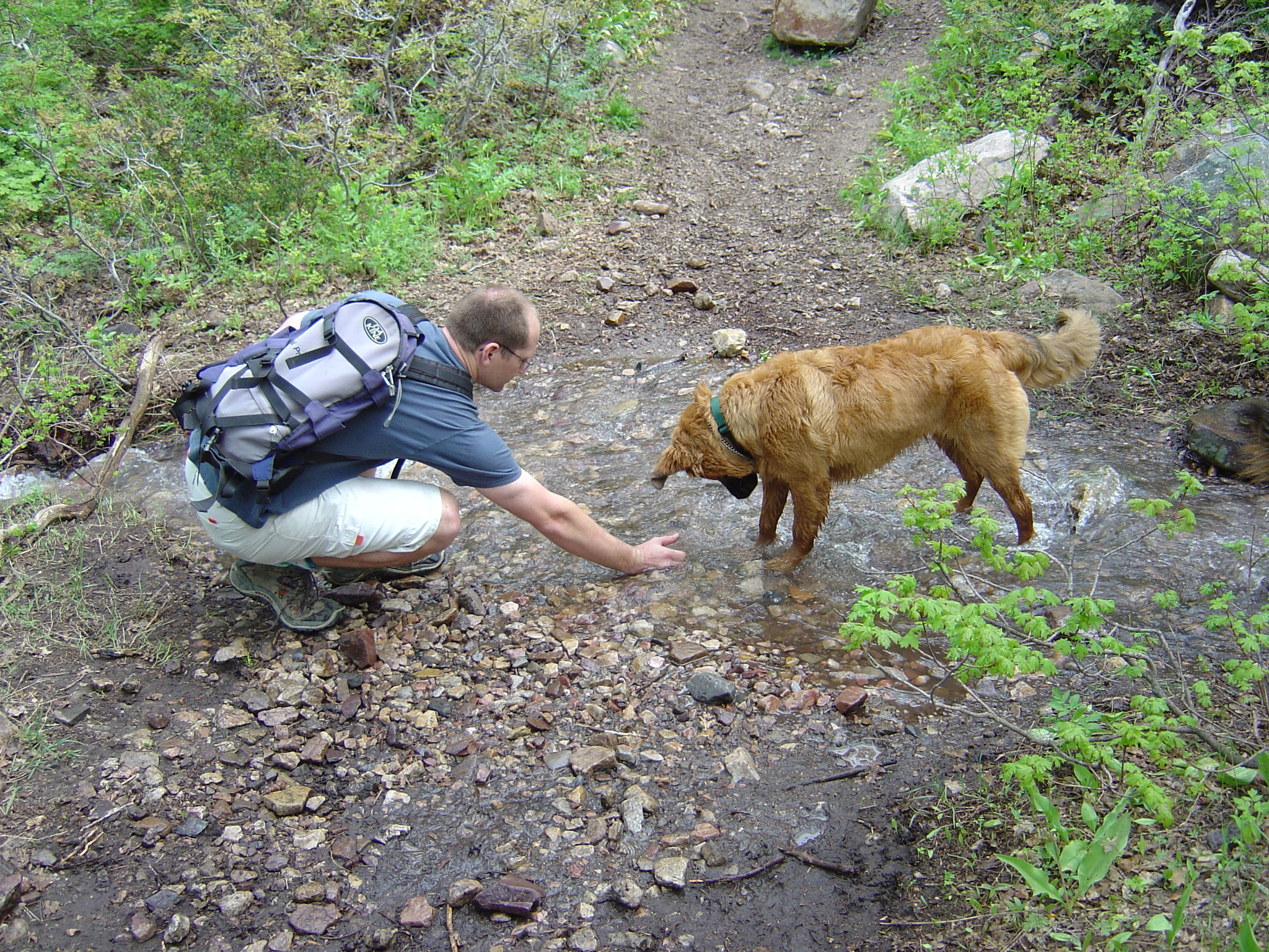 also went on a hike with jason, anne, and the dogs