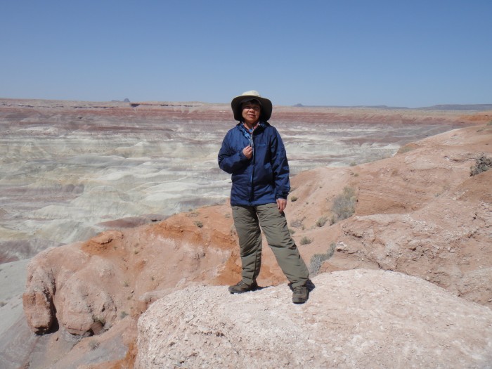 Arizona Painted Desert Overlook.JPG