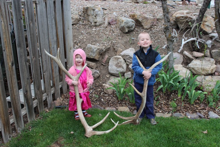 Steven and Amanda - elk shed antlers