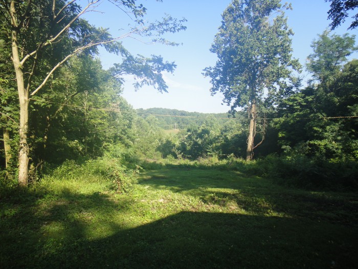 Summer view from the house