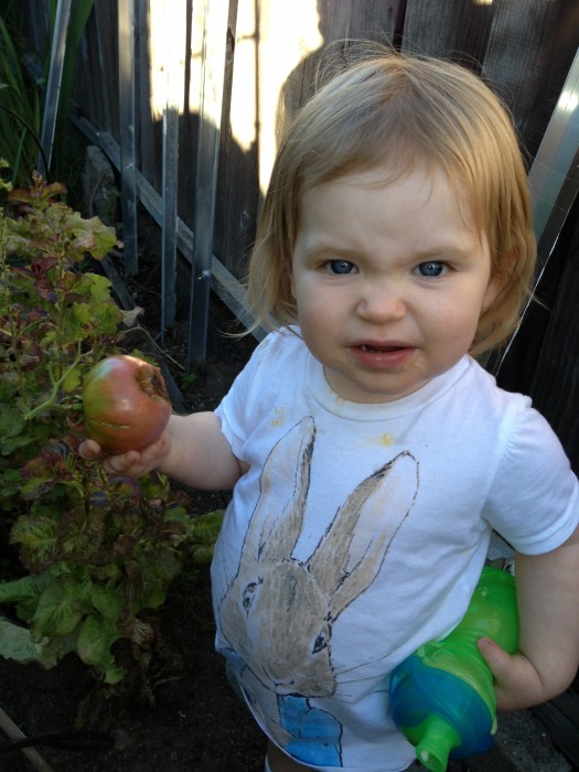 Mathilda likes to eat them right off the vine