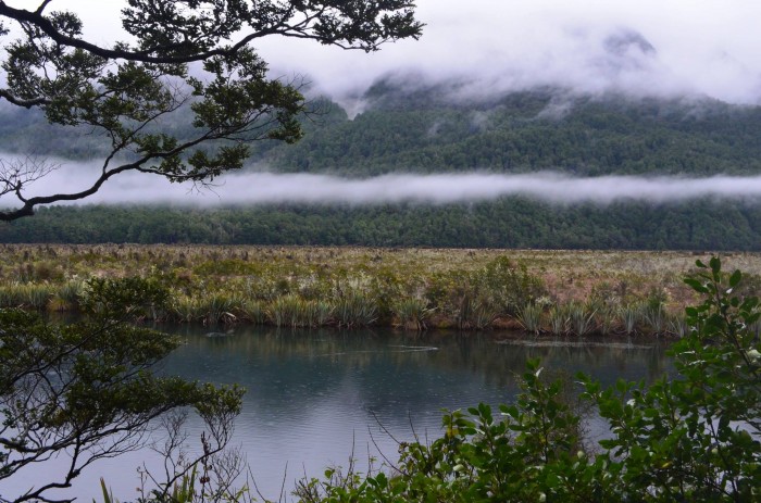 Fiordlands National Park