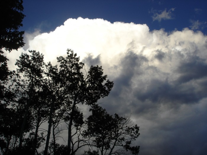 Watched the afternoon thunderstorms (thundery about the ranges)