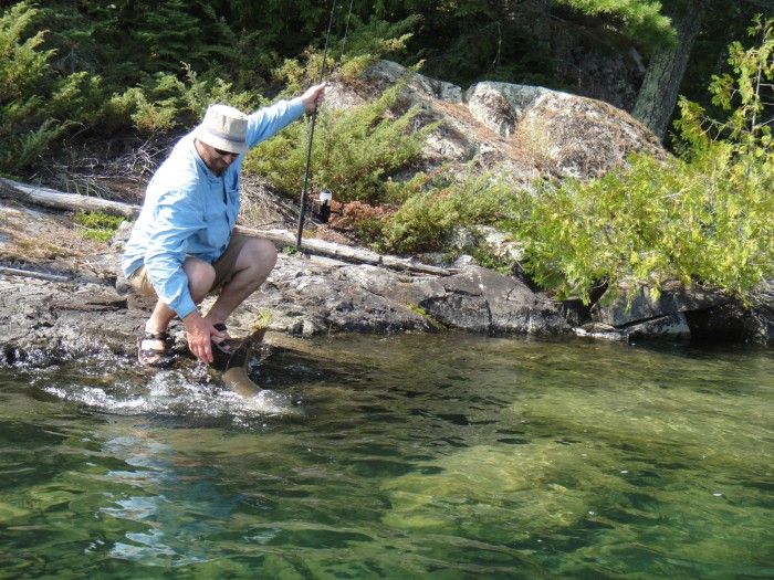 Hooked from the canoe while trolling but the fight went quickly to land.