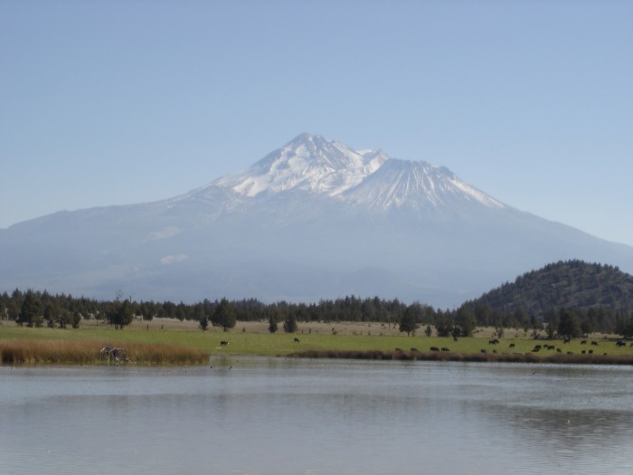 Mt. Shasta over the lake on the ranch.  Essentially the view out the ranch house window.