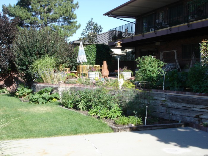 Tomatoes are setting fruit, beans and squash are blooming.