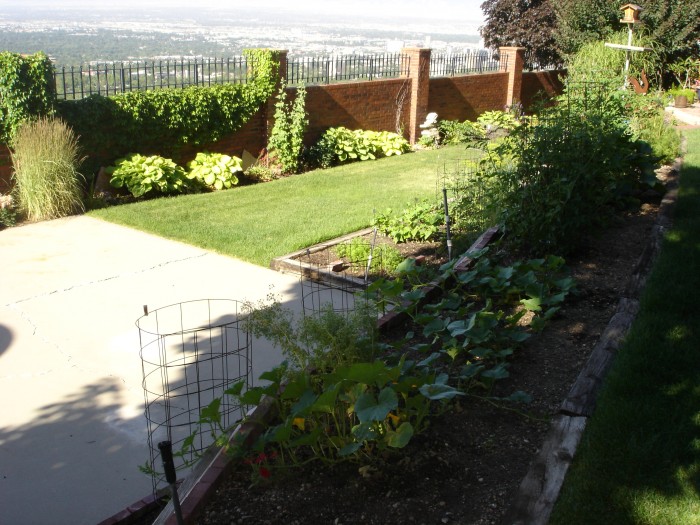 Back yard 003.jpg (2.28 MiB) Viewed 11780 times The flowers were great.