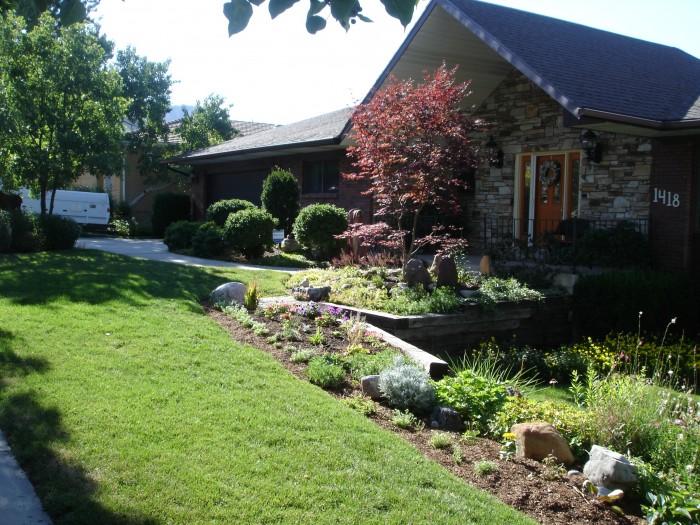 Lots more sun in the front yard now!  The camper is ready to go!