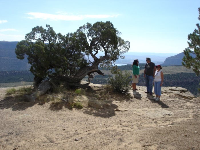 Dave and Laura got to see some of the sights.